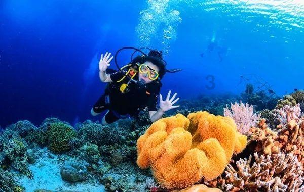 一顿浪漫晚餐