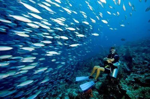海盗的寻宝之旅